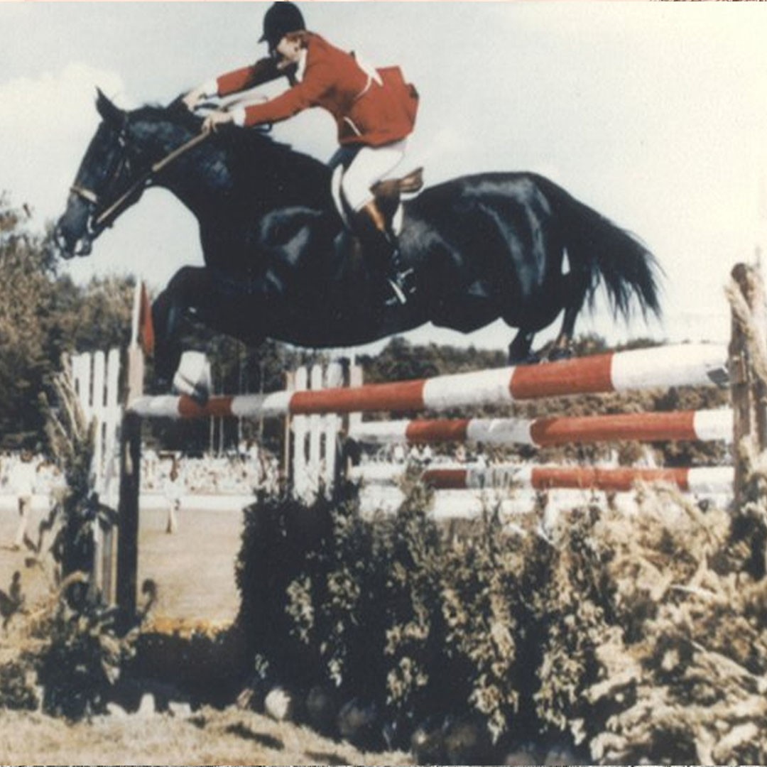 The Legendary Thoroughbred showjumping horse Idle Dice with Rodney Jenkins